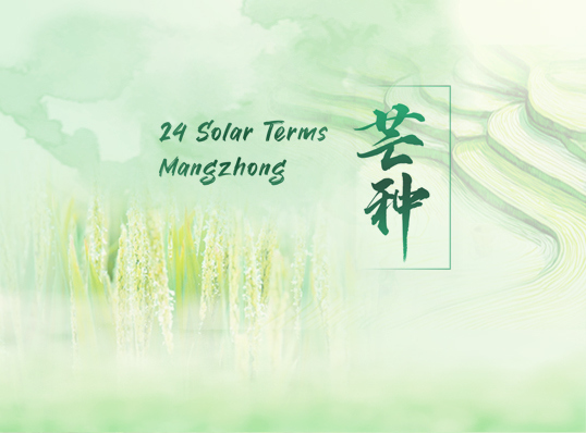 芒種3.jpg